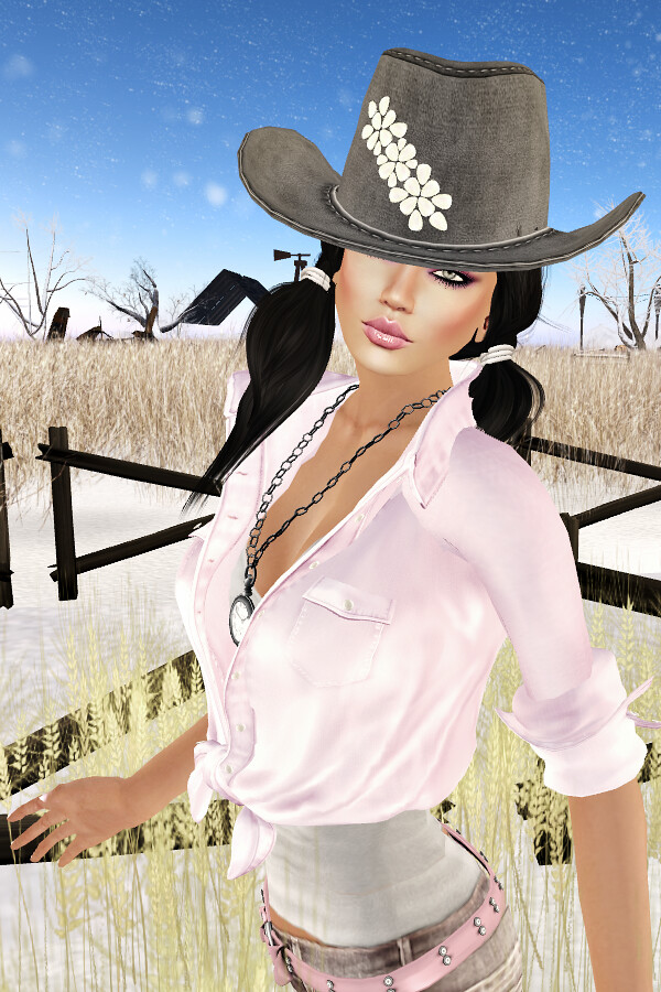 I wanna be a cowgirl #1
