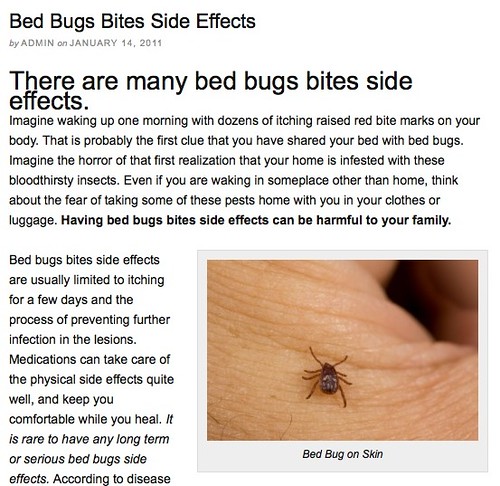 Evolutionary and Ecological Entomology » Blog Archive » Bug