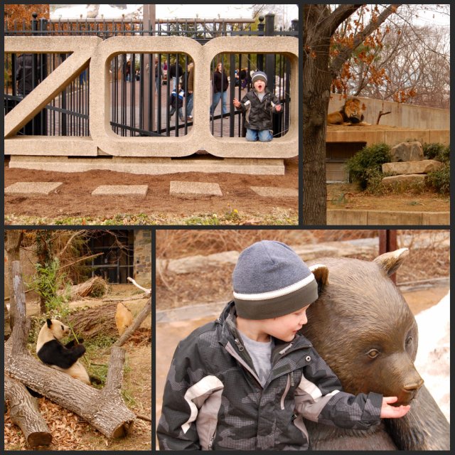 Zoo collage