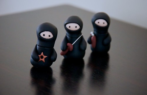 Three Wise Ninjas