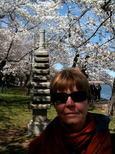 Pagoda National Cherry Blossom Festival in Washington D.C. 