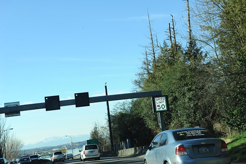Beginning of the very expensive changes coming to the Floating 520 Bridge, new lighted speed limit signs, Speed Limit 50, and what's with those dead tree tops?, Medina, Washington, USA