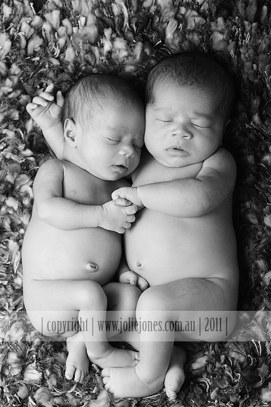 newborn twin baby photographer canberra