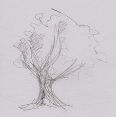 Drawing sixteen - tree doodle