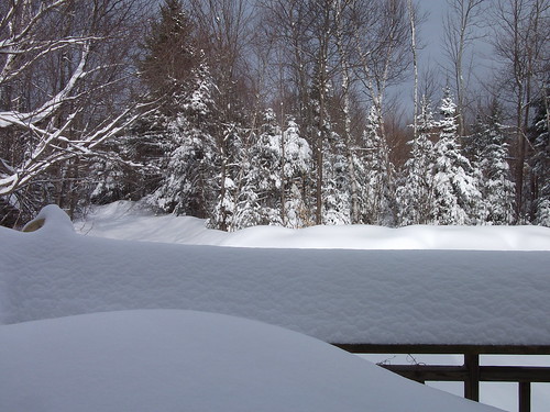snow mar 2011 014 by woodsrun