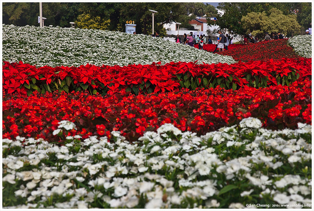 2010 臺北國際花卉博覽