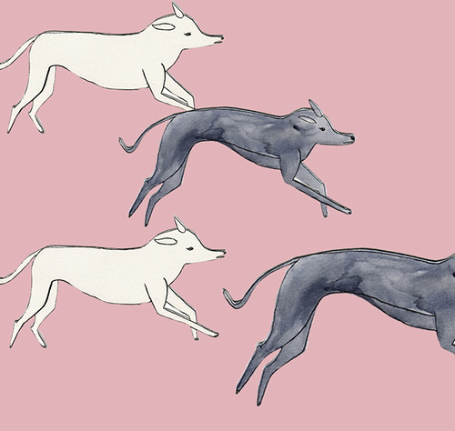 greyhoundys