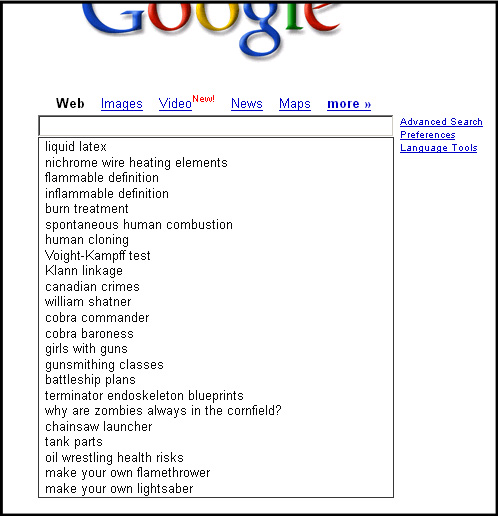Google Searches