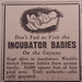 Incubator Babies