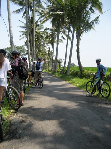Cycling through the Palms