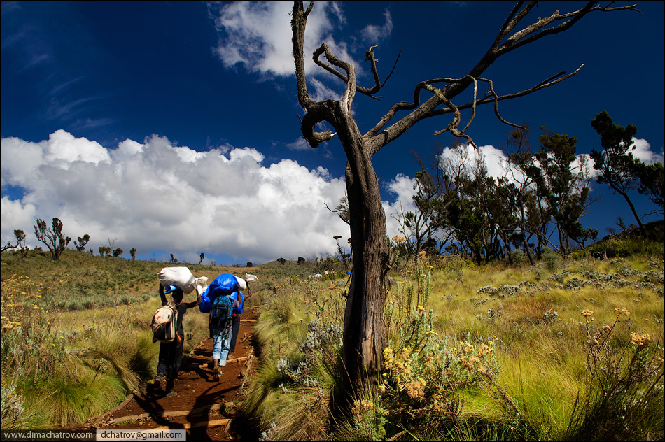 Восхождение на Килиманджаро. Часть 1.