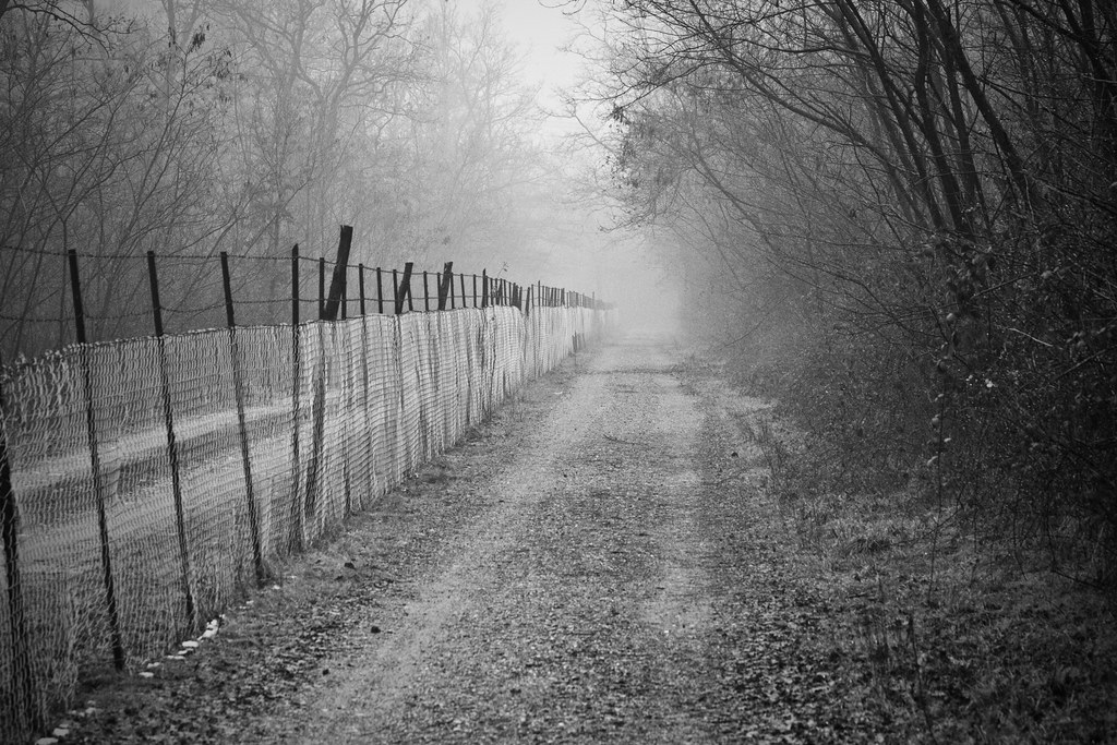 Road along a fence