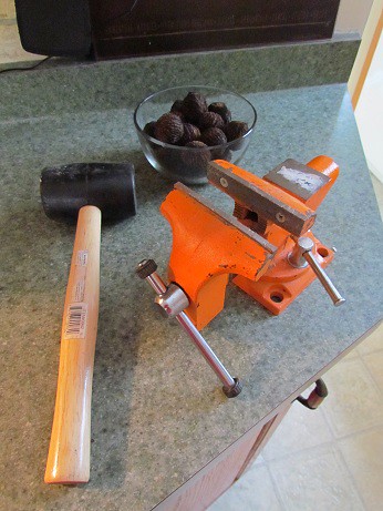 Vice and Rubber Mallet for Cracking Black Walnuts