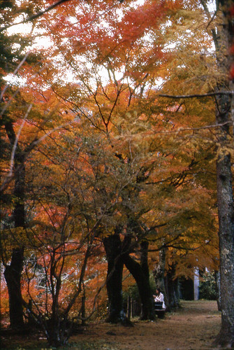 Autumn Hakone by Lono_Luno