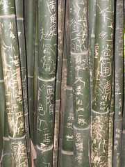 BambooGraffiti