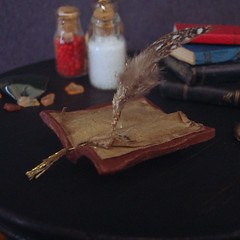 Red Magic Quill book