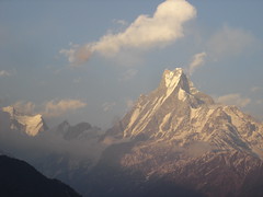 View of Fishtail from Tadapani