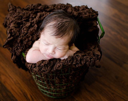 Sleeping in basket