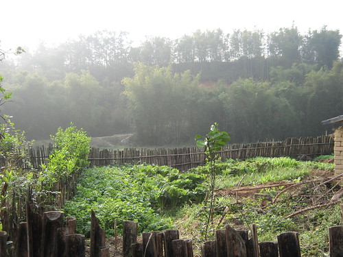 竹林聚集的地方就是上学的路口