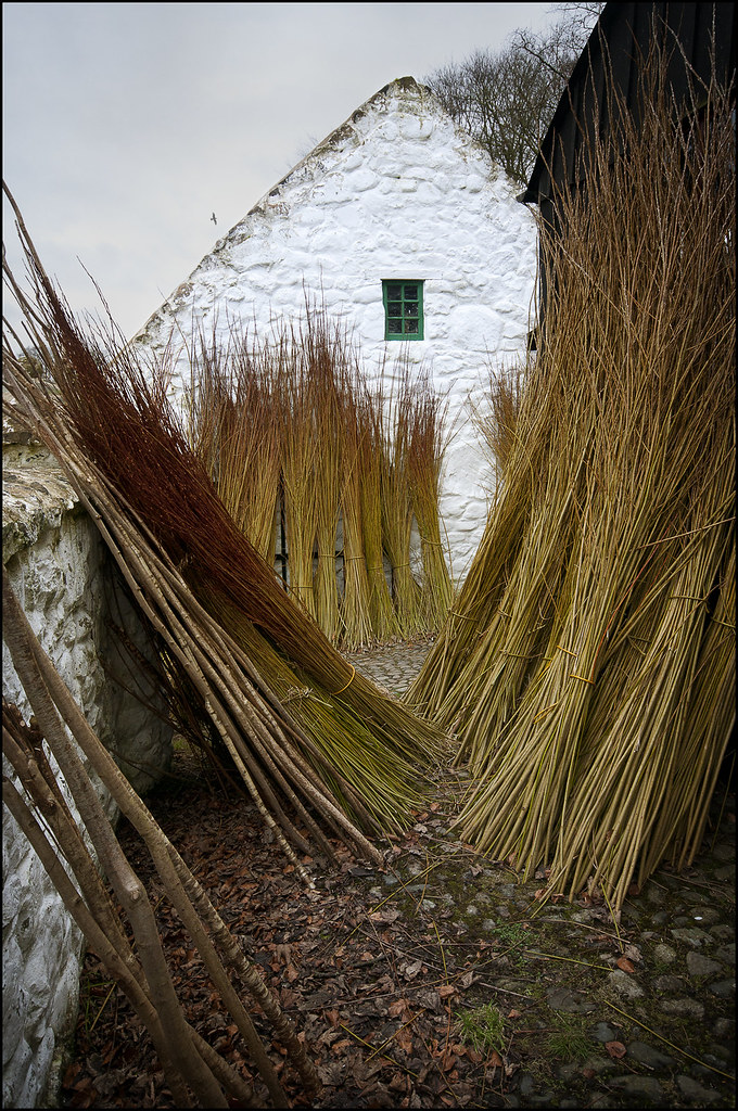 The Willow Weaver's Yard