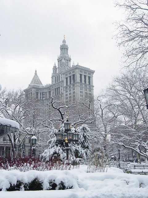 New_York_Central_Park_winter
