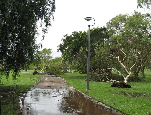 After TC Carlos - Nightcliff Foreshore 1