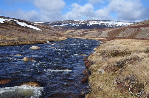 Brown Cow Hill above River Gairn