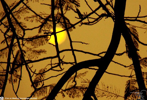 Moon Still  Lighting with  Moring sun @SYLHET by ** 5 9 5 0 3 6 **