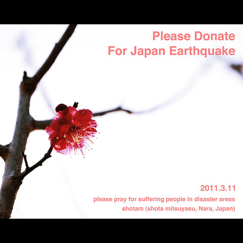 Please Donate For Japan Earthquake