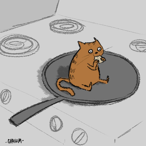 Pancake for kitty