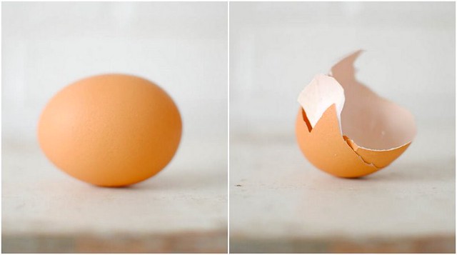 the egg.
