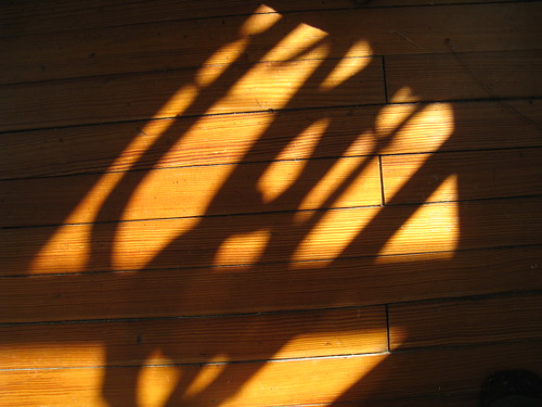 light & shadow