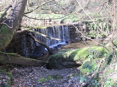 Scaling Mill - Weir