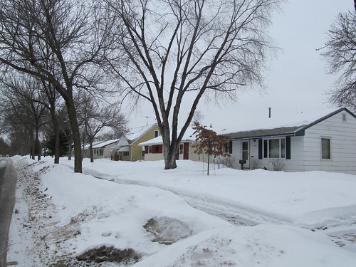 Homes in Shingle Creek, Minneapolis