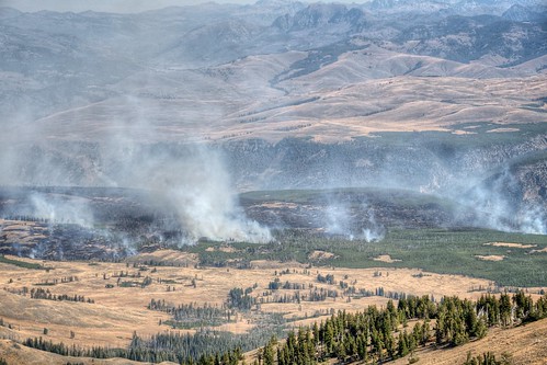 Forest Fires in the Lamar Valley