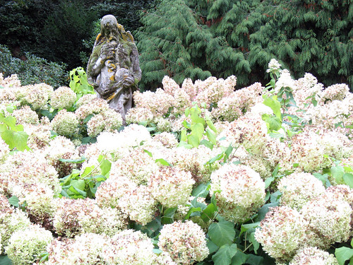 Wise Man Amongst the Blooms