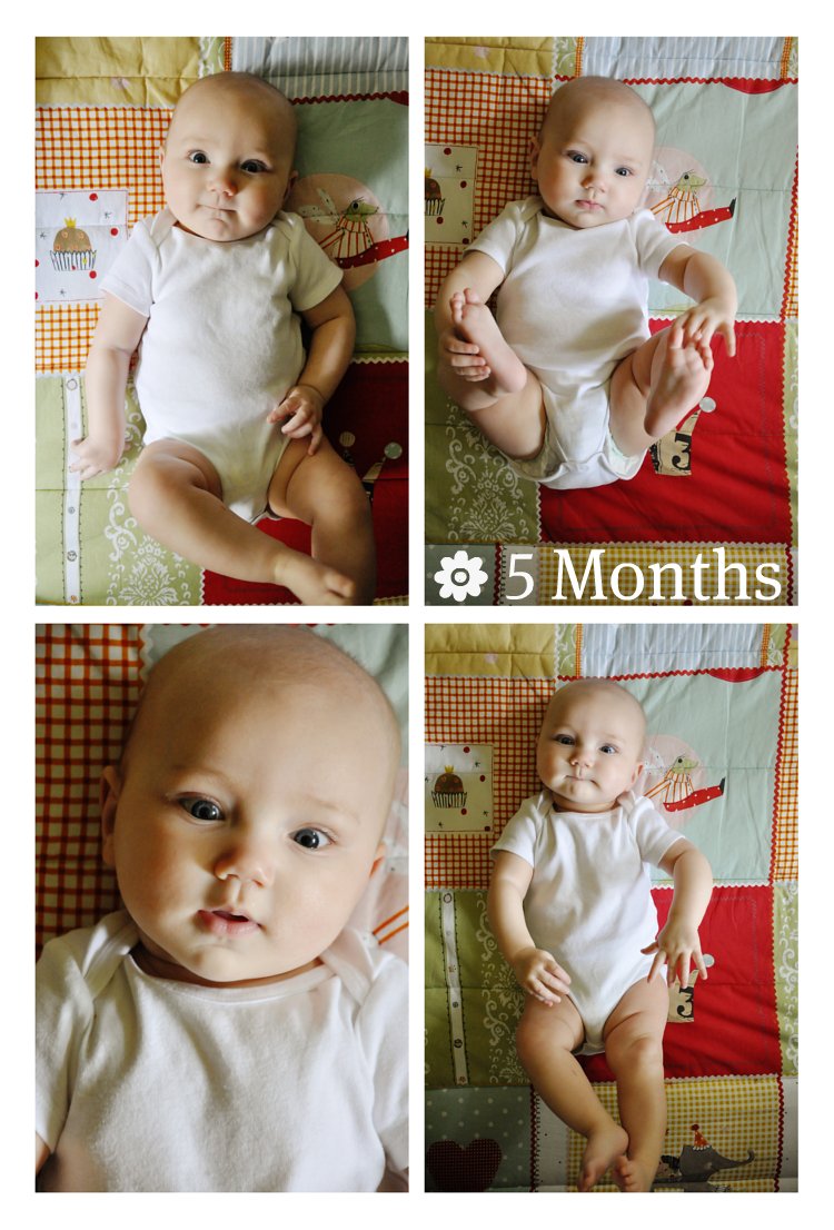 Lola ~ 5 Months
