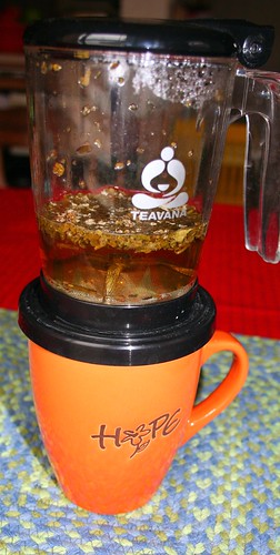 teavana perfect tea maker