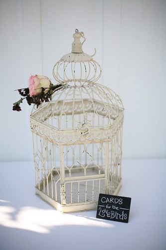 Card Cage SerenaMarkWedding0481 For centerpieces there was a mix of 