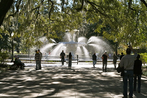 Savannah 2011