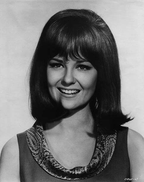 Shelley Fabares by Bikelover2