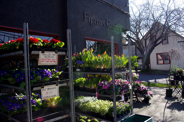 Figaro's Garden