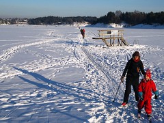 Outdoor Recreation in Norway Winter Wonderland #5