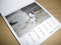 Roman cats calendar from Helja