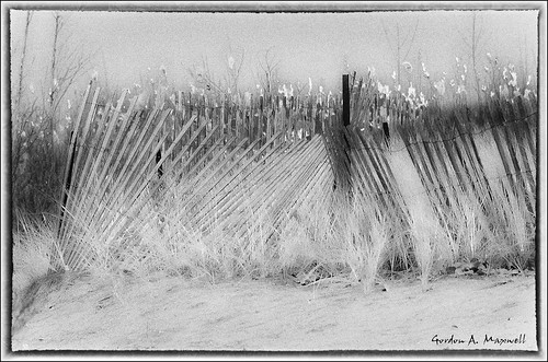 Snow Fence 1  -  Explore #483 - March 10, 2011