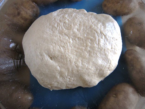Potato dough resting, take two