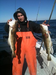 Montauk cod fishing at its finest