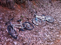  Abandoned Bikes 