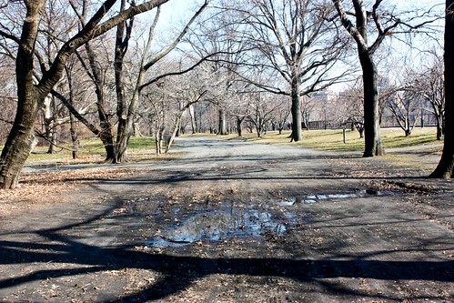First MudPuddle Central Park March 2 029 #2