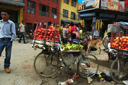 Fruit bike street vendor, apples, bananas, homemade scale, garbage, goat, children, Puskar Enterprises, posters, Kathmandu, Nepal by Wonderlane